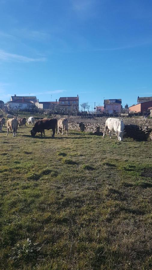 Albergue Agustina Samir de los Canos Buitenkant foto